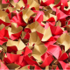 Papier-Verpackungschips rot 120 Liter ProgressFill Decofill